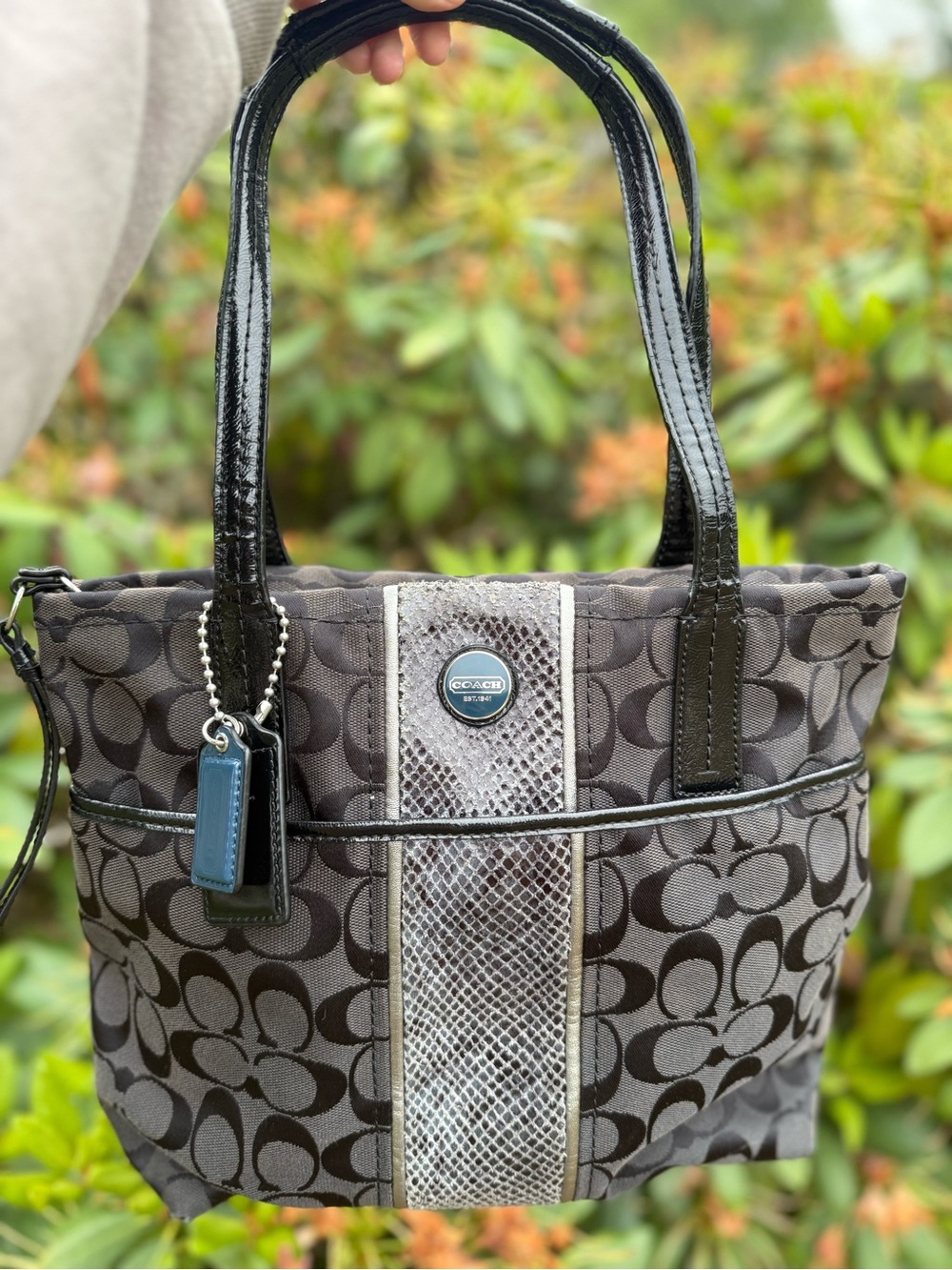 Coach Signature Python Stripe Tote Bag
